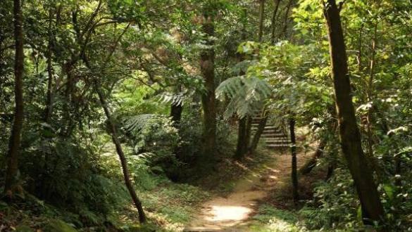 Jiangziliao Mountain Trail場景照片