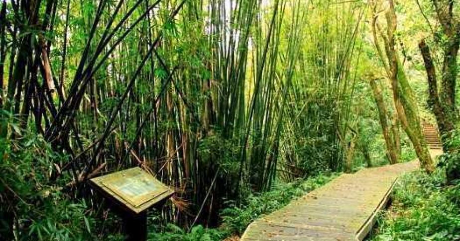 荖寮坑礦業生態園區場景照片